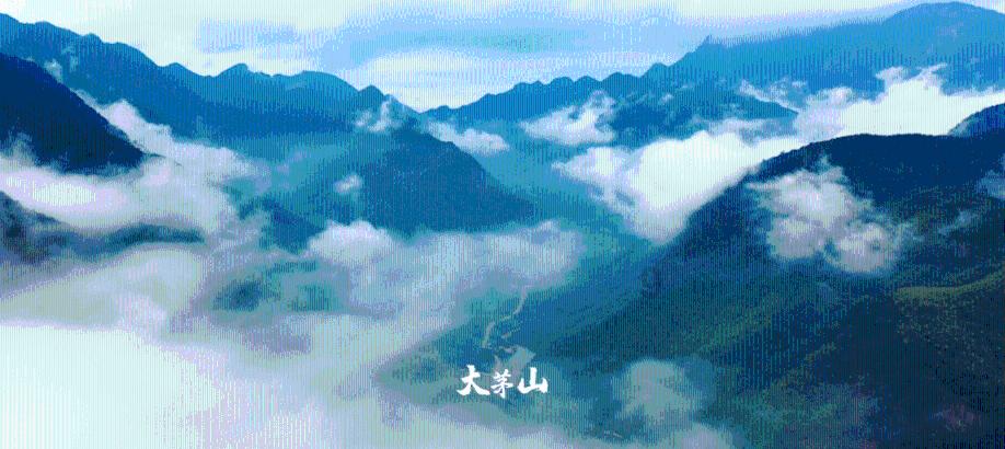 关于书籍是人类的朋友的名人名言游戏画面